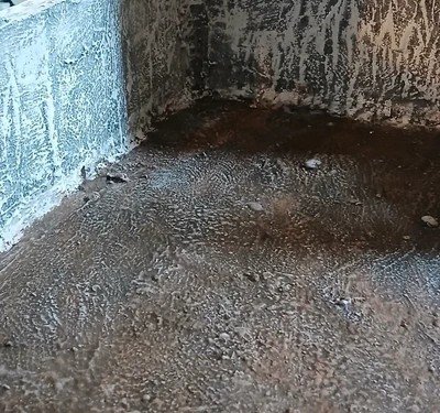 1766411107 (5)~2.jpg