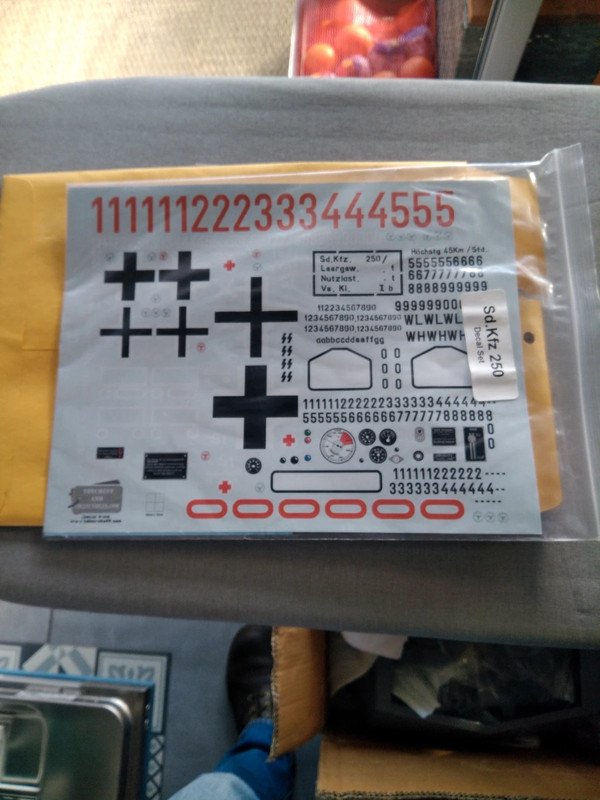 1740494165 (2).jpeg